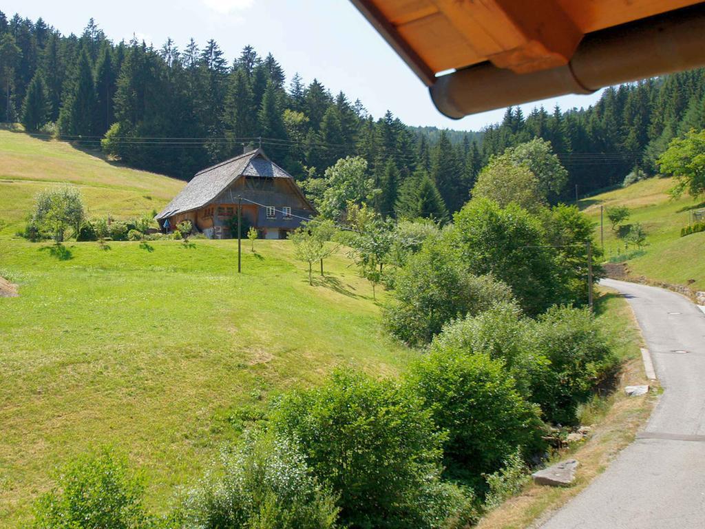 Gastehaus Herrmann Bad Rippoldsau-Schapbach Εξωτερικό φωτογραφία