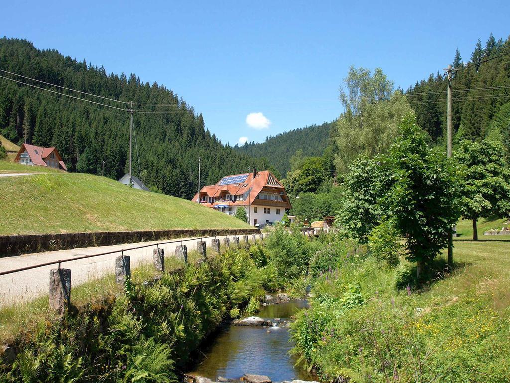 Gastehaus Herrmann Bad Rippoldsau-Schapbach Εξωτερικό φωτογραφία