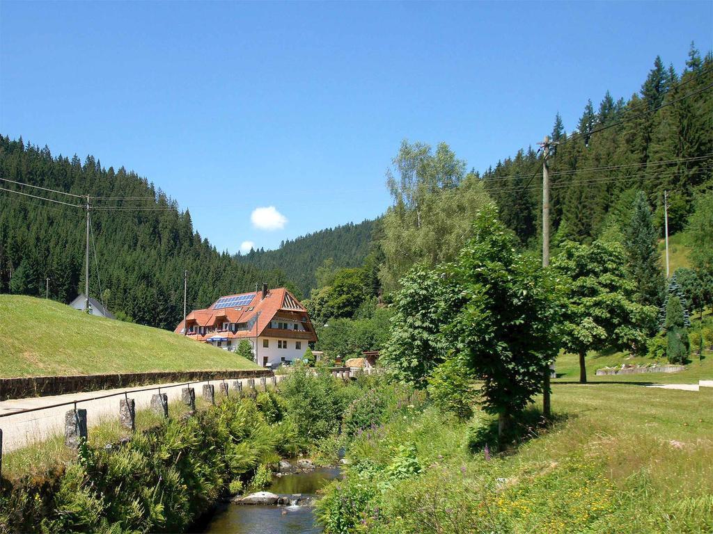 Gastehaus Herrmann Bad Rippoldsau-Schapbach Εξωτερικό φωτογραφία